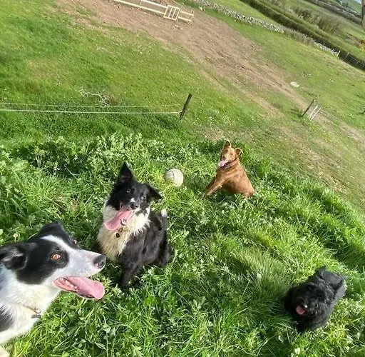 Riverfield Apartment