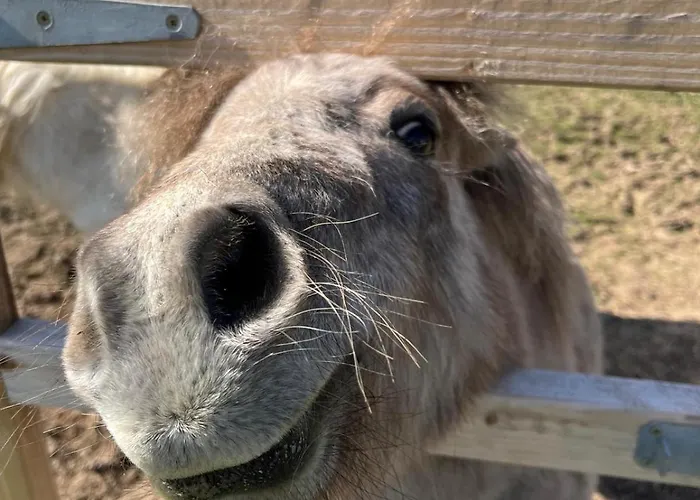 Riverfield Apartment Milltown Malbay